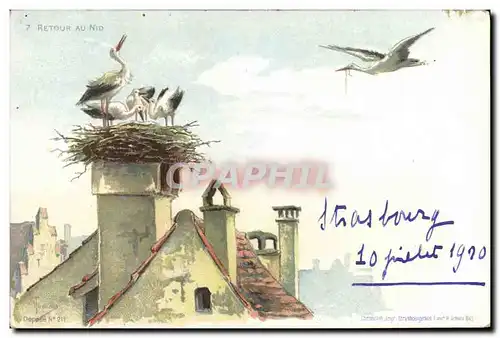 Cartes postales Cigognes Retour au nid