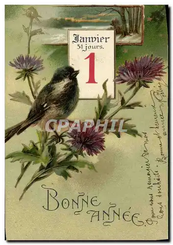 Cartes postales Oiseau