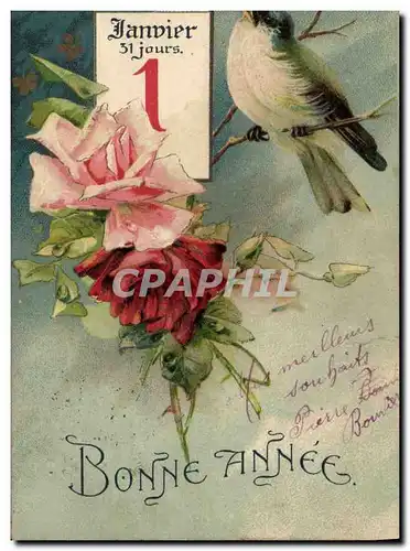 Cartes postales Oiseau