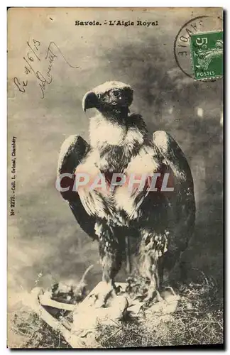 Cartes postales Savoie L&#39aigle royal Rapace