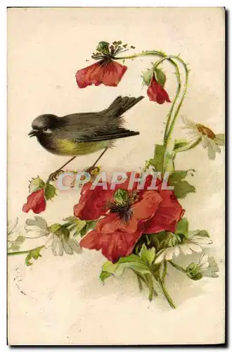 Cartes postales Oiseau Fleurs