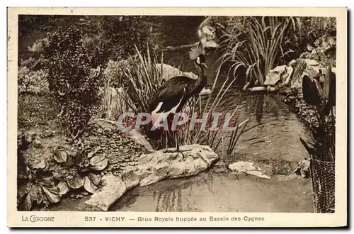 Cartes postales Vichy Grue royale huppee au bassin des cygnes