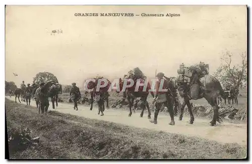 Ansichtskarte AK Militaria Chasseurs alpins Grandes manoeuvres