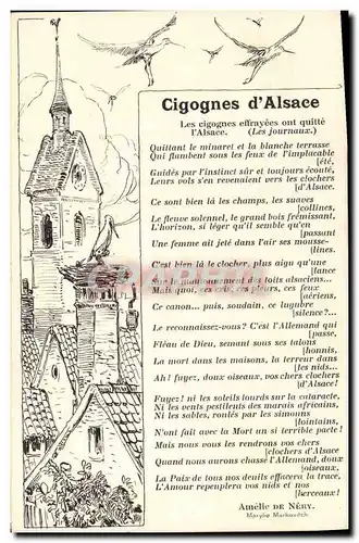 Ansichtskarte AK Folklore Alsace Cigognes