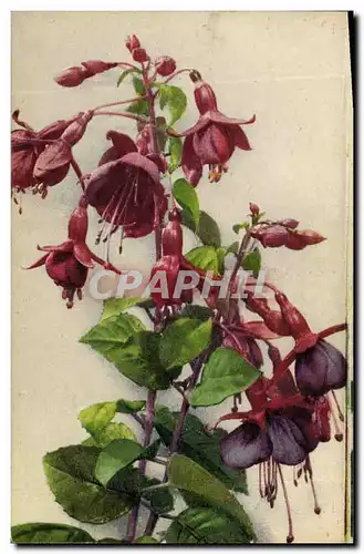 Cartes postales Fantaisie Fleurs