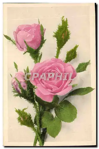 Cartes postales Fantaisie Fleurs