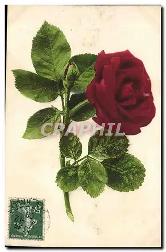 Cartes postales Fantaisie Fleurs