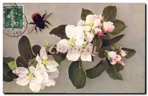 Ansichtskarte AK Fantaisie Fleurs Insecte