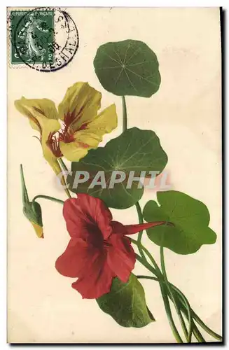 Cartes postales Fantaisie Fleurs