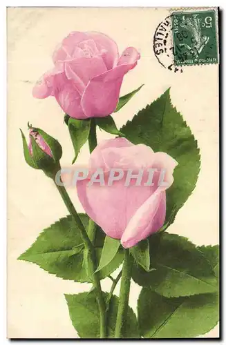 Cartes postales Fantaisie Fleurs