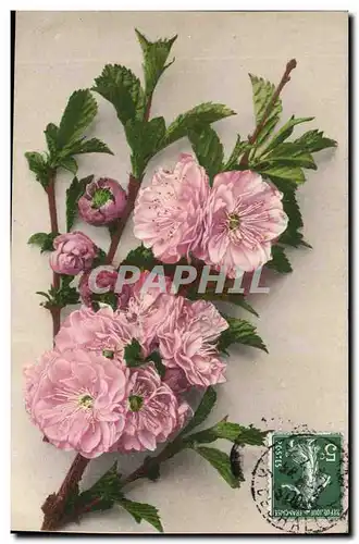 Cartes postales Fantaisie Fleurs