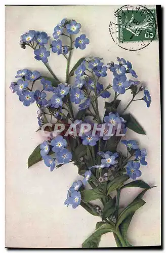 Cartes postales Fantaisie Fleurs