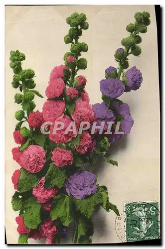 Cartes postales Fantaisie Fleurs