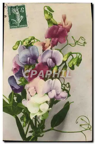 Cartes postales Fantaisie Fleurs