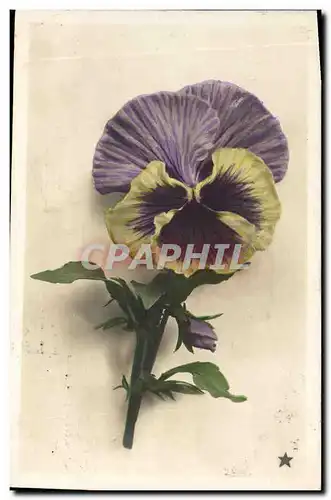 Cartes postales Fantaisie Fleurs