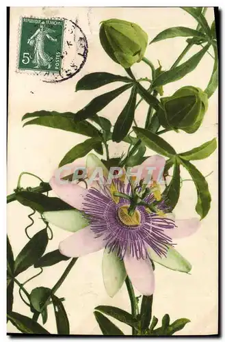 Cartes postales Fantaisie Fleurs