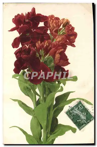 Cartes postales Fantaisie Fleurs