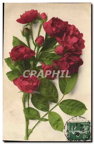 Cartes postales Fantaisie Fleurs