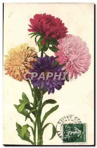 Cartes postales Fantaisie Fleurs