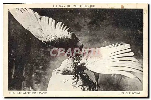 Cartes postales Les Alpes de Savoie L&#39aigle royal