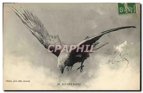 Cartes postales Roi des Alpes Rapace