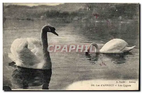 Cartes postales Lac d&#39Annecy Les cygnes