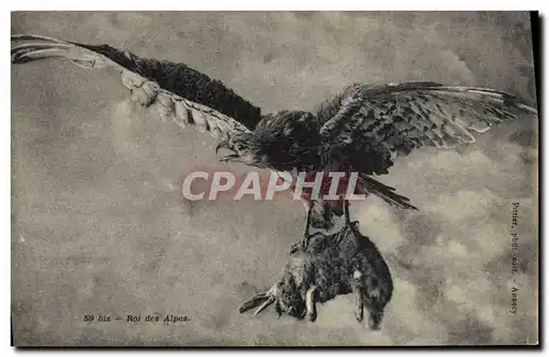 Cartes postales Roi des Alpes Lapin Rapace Aigle