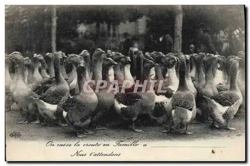 Ansichtskarte AK Oies On casse la croute en famille