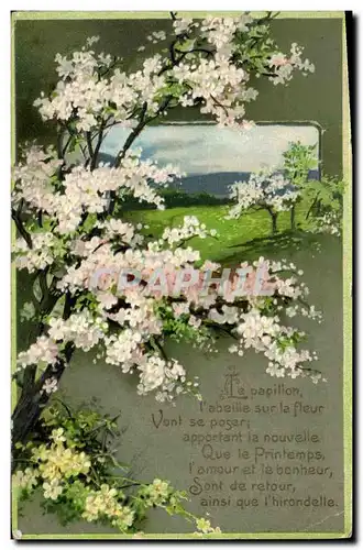 Cartes postales Fantaisie Fleurs