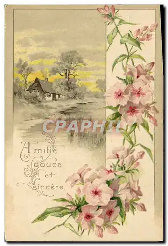 Cartes postales Fantaisie Fleurs