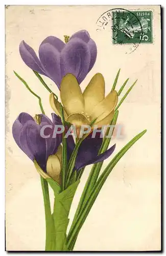 Cartes postales Fantaisie Fleurs