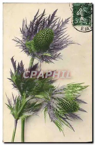 Cartes postales Fantaisie Fleurs