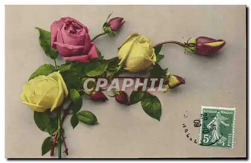 Cartes postales Fantaisie Fleurs