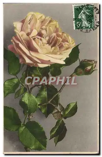 Cartes postales Fantaisie Fleurs