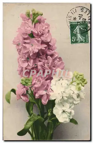 Cartes postales Fantaisie Fleurs