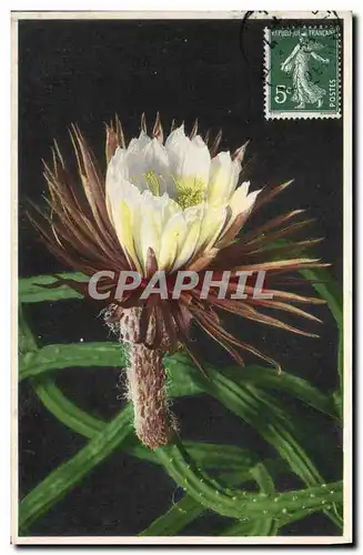 Cartes postales Fantaisie Fleurs