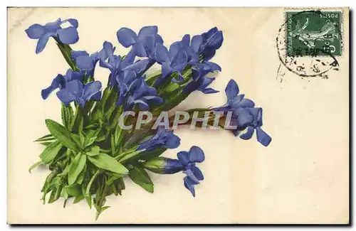 Cartes postales Fantaisie Fleurs