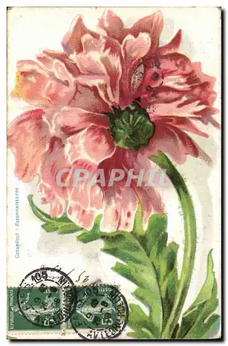 Cartes postales Fantaisie Fleurs