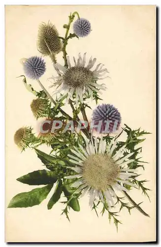 Cartes postales Fantaisie Fleurs