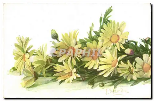 Cartes postales Fantaisie Fleurs