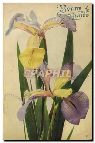 Cartes postales Fantaisie Fleurs