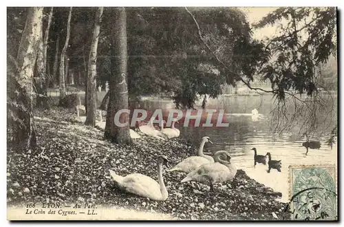 Ansichtskarte AK Lyon Au parc Le coin des cygnes