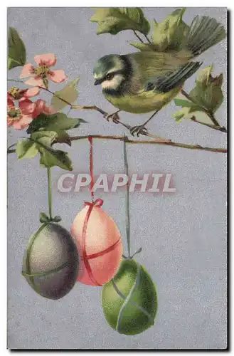 Cartes postales Oiseaux