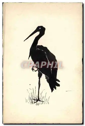 Cartes postales Oiseau