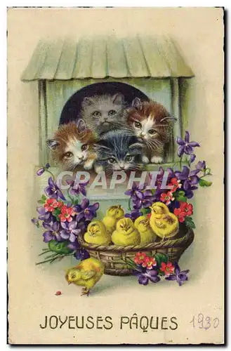 Cartes postales Chats Chatons Poussins Paques