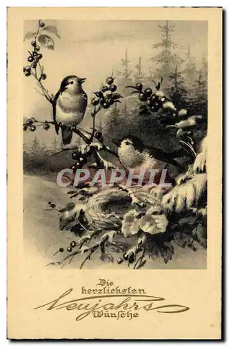 Cartes postales Oiseaux