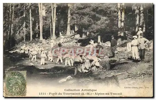 Cartes postales Militaria Chasseurs Alpins Foret de Tournairet Alpins au travail