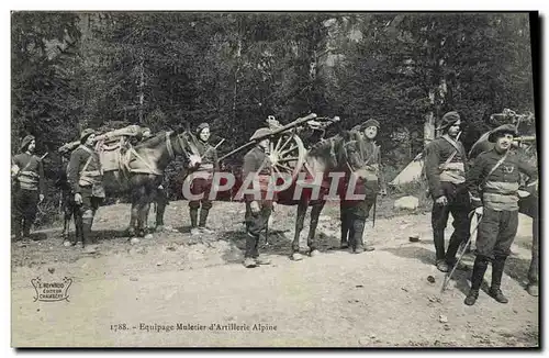 Cartes postales Militaria Chasseurs Alpins Equipage muletier d&#39artillerie alpine