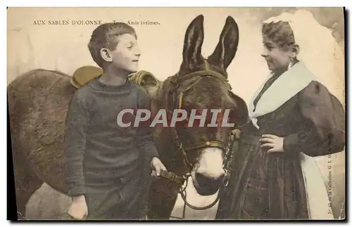 Cartes postales Folklore Aux Sables d&#39Olonne Trois amis intimes Ane Mule Enfant