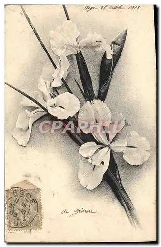 Cartes postales Fantaisie Fleurs